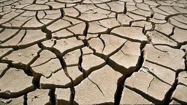 Wüste und wenig Regen: Durch Trockenheit aufgerissener Lehmboden in der Syrischen Wüste - die Folge von wenig Regen. | Bild: picture-alliance/dpa