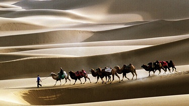 Kamelkarawane in der Wüste Taklamakan in China | Bild: picture-alliance/dpa