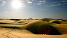 Wüste Thar in Indien | Bild: picture-alliance/dpa