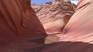 Faszinierende Wüstenlandschaft: Wave-Sandsteinformation im Colorado-Plateau | Bild: BR / Michael Martin