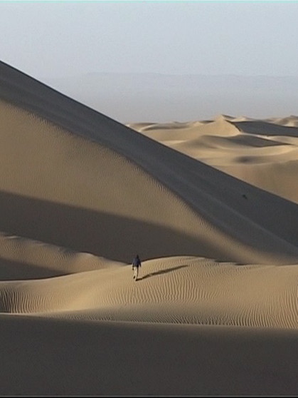 Sanddünen in der Wüste Alashan. Sand, Wind und Schwerkraft - das sind die drei Hauptfaktoren für die Bildung von beeindruckend geformten Sanddünen in Wüsten. | Bild: BR / Michael Martin