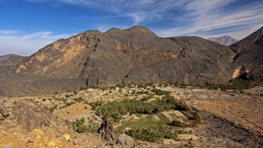 Die Oase Haat im Oman. Eine Oase ist ein Gebiet mit Vegetation und einem Wasserzugang mitten in der Wüste. Hier können sogar Nutzpflanzen angebaut werden. Wir erklären euch, wie Oasen entstehen. | Bild: picture alliance/Zoonar | GFC Collection