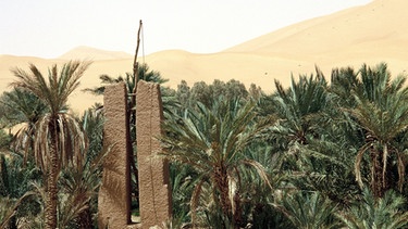Wüstenoase mit Brunnen in der östlichen Sahara. Eine Oase ist ein Gebiet mit Vegetation und einem Wasserzugang mitten in der Wüste. Hier können sogar Nutzpflanzen angebaut werden. Wir erklären euch, wie Oasen entstehen. | Bild: picture-alliance/dpa