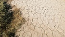 Trockener, rissiger Boden in der kalifornischen Mojave-Wüste. Die Regenschattenwüsten der Erde werden von Gebirgen abgeschirmt, deren Berge wie eine Barriere gegen Regen wirken. Hier erfahrt ihr mehr über diese besonderen Wüsten.  | Bild: picture-alliance/dpa
