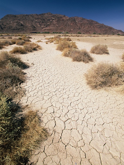 Trockener, rissiger Boden in der kalifornischen Mojave-Wüste. Die Regenschattenwüsten der Erde werden von Gebirgen abgeschirmt, deren Berge wie eine Barriere gegen Regen wirken. Hier erfahrt ihr mehr über diese besonderen Wüsten.  | Bild: picture-alliance/dpa