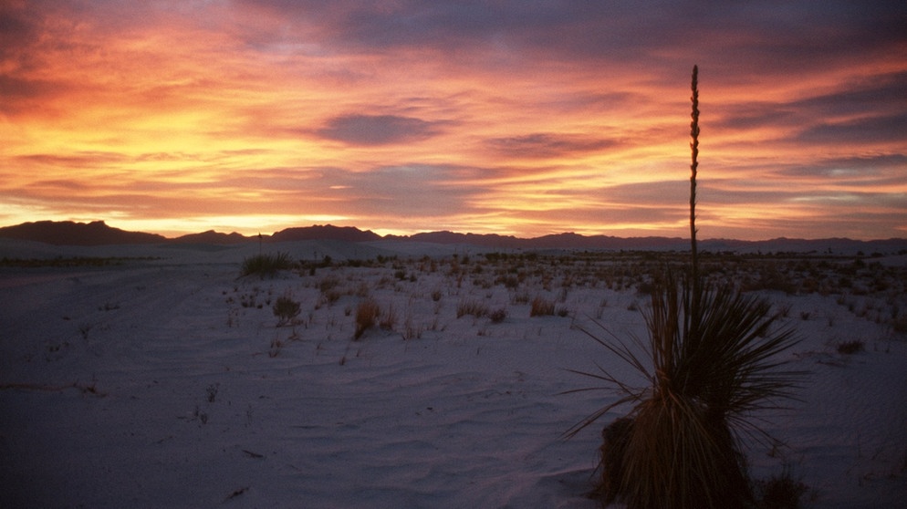 Sonnenuntergang in der Chihuahua-Wüste. Die Regenschattenwüsten der Erde werden von Gebirgen abgeschirmt, deren Berge wie eine Barriere gegen Regen wirken. Hier erfahrt ihr mehr über diese besonderen Wüsten. | Bild: picture-alliance/dpa