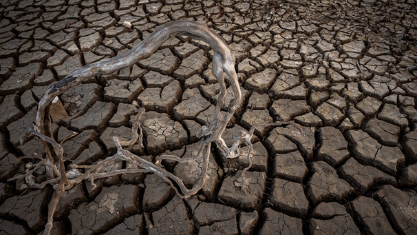 Wurzeln auf einem ausgetrockneten Boden in Spanien. Die Welt verliert weltweit an fruchtbarem Boden. Die Wüsten wachsen - und wir Menschen sind nicht unschuldig daran, weil wir in trockenen Gebieten Böden, Vegetation und Wasservorräte zu intensiv nutzen. | Bild: picture alliance/ASSOCIATED PRESS | Emilio Morenatti