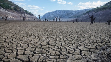 Trockener Boden in Spanien. Die Wüsten wachsen - und wir Menschen sind nicht unschuldig daran. Die Wüstenbildung schreitet voran, weil in trockenen Gebieten Böden, Vegetation und Wasservorräte zu intensiv von uns genutzt werden.  | Bild: picture alliance/NurPhoto | Alvaro Fuente