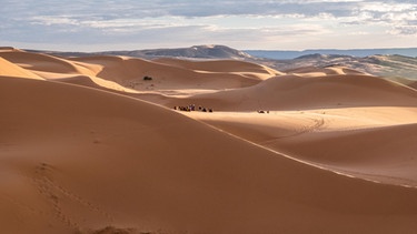 Sanddünen in der Sahara. Die Welt verliert weltweit an fruchtbarem Boden. Die Wüsten wachsen - und wir Menschen sind nicht unschuldig daran, weil wir in trockenen Gebieten Böden, Vegetation und Wasservorräte zu intensiv nutzen. | Bild: picture alliance/Zoonar | Alessandro Vecchi