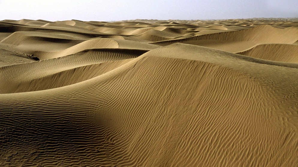 Sandwüste - die Wüstenform in der Wüste Taklamakan. Die Landschaften der Wüste der Erde sind weltweit unterschiedlich. Milliarden von Sandkörnern, Dünen, Schotterebenen, Felsgebirge, Salzseen und auch Eisflächen prägen die trockensten Gebiete der Welt. | Bild: picture-alliance/dpa