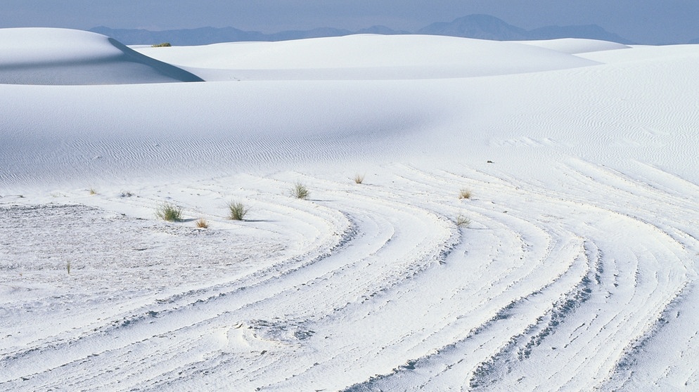 Auch eine Form der Wüste: die Gipsebene White Sands in der amerikanischen Chihuahua-Wüste. Die Landschaften der Wüste der Erde sind weltweit unterschiedlich. Milliarden von Sandkörnern, Dünen, Schotterebenen, Felsgebirge, Salzseen und auch Eisflächen prägen die trockensten Gebiete der Welt. | Bild: picture-alliance/dpa