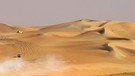 Die arabische Wüste Rub al-Khali ist die größte Sandwüste der Welt. Bezieht man Halbwüsten mit ein, gehören den Wüsten mit rund 50 Millionen Quadratkilometern von allen Landschaftsformen der Erde die größte Fläche. Ein faszinierender Lebensraum für eine besondere Tier-und Pflanzenwelt. Hier erfahrt ihr spannende Fakten über die trockensten Gebiete der Welt. | Bild: picture-alliance/dpa