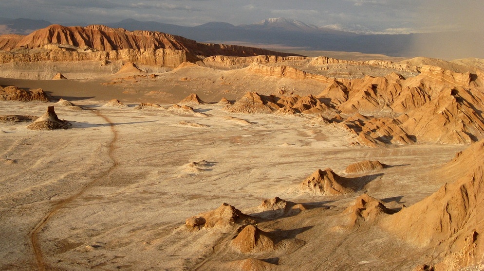 Valle de la Luna in der chilenischen Atacama-Wüste, eine Wüste direkt am Meer. Küstenwüsten befinden sich in der Nähe von kalten Ozeanströmungen aus der Antarktis. Kühle Luft kann wegen warmer Passatwinde nicht aufsteigen, Wolken und Regen bleiben aus. | Bild: picture-alliance/dpa