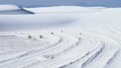 Auch eine Form der Wüste: die Gipsebene White Sands in der amerikanischen Chihuahua-Wüste  | Bild: picture-alliance/dpa