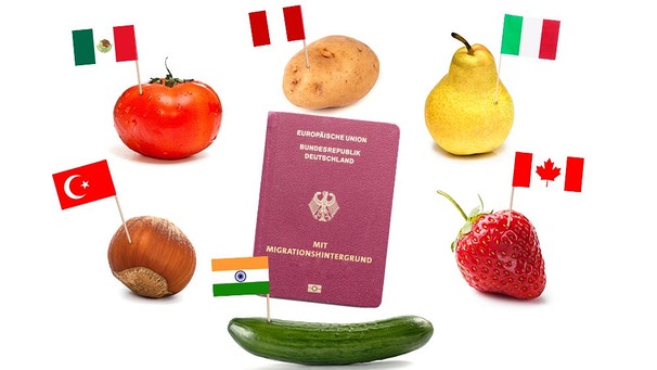 Kulturpflanzen wie Haselnuss, Tomate, Kartoffel, Birne oder Erdbeere kommen ursprünglich aus anderen Ländern | Bild: colourbox.com; Montage: BR