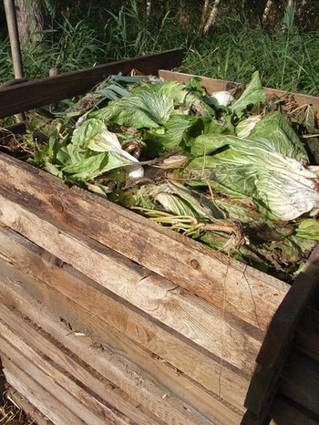 Kompostkiste mit frischen Gemüseabfällen | Bild: Karin Greiner
