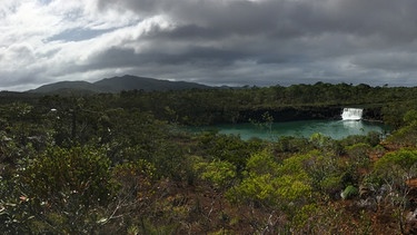 Landschaftsaufnahme Neukaledonien. Auf der Hauptinsel Grande Terre suchen Biologen nach Superpflanzen, die Schwermetall wie Nickel aufsaugen (Hyperakkumulatoren) | Bild: BR/Klaus Uhrig