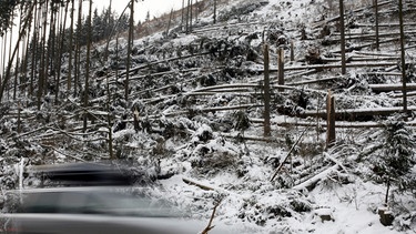 Ein Sturm hat viele Bäume niedergefegt. Ein Bergwald, der aus vielen verschiedenen Baumarten unterschiedlichen Alters besteht, ist widerstandsfähig. Deswegen wird der Wald in Bayern in den Alpen besonders gepflegt und geschützt. | Bild: picture-alliance/dpa
