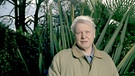 Prominenter Namenspate: der Tierfilmer David Attenborough | Bild: picture-alliance/dpa/Photoshot