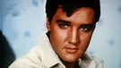 Elvis Presley ist prominenter Namenspate für eine Gallwespe | Bild: picture-alliance/dpa