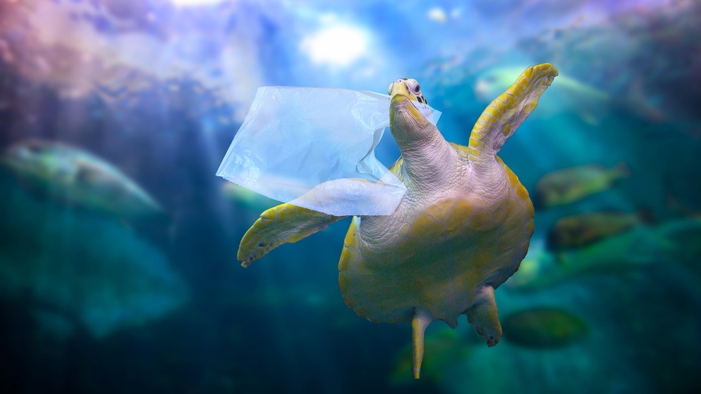 Die Vermüllung der Ozeane ist ein Grund für das Artensterben. Viele Tiere wie Meeresschildkröten, Fische und Seevögel schlucken Plastikteile und Mikroplastik und verenden qualvoll daran. Fünf Tipps für mehr Biodiversität und Artenschutz im Alltag. | Bild: picture-alliance/dpa