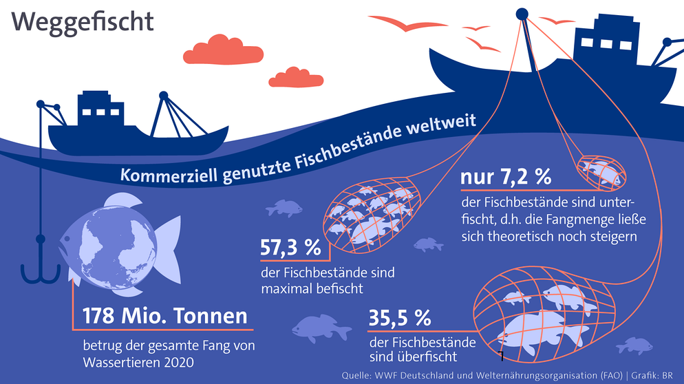 Grafik: Eine Übersicht über die kommerziell genutzten Fischbestände weltweit. Fischbestände sind weltweit gefährdet. Dabei wäre es leicht, etwas gegen die Überfischung zu unternehmen und Fische zu schützen. | Bild: WWF Deutschland und Welternährungsorganisation (FAO) | Grafik: BR