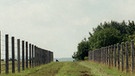 Naturschutzprojekt Grünes Band an der ehemaligen deutsch-deutschen Grenze: Geisa, Thüringen | Bild: picture-alliance/dpa