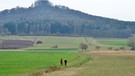 Grünes Band an der ehemaligen deutsch-deutschen Grenze: bei Straufhain, Thüringen | Bild: picture-alliance/dpa