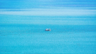 Ein Fischerboot ist auf dem Meer in einer totalen Einstellung zu sehen. Vor dem Boot sind in mehreren Reihen Netze ins Wasser gelassen. Haiangriffe passieren sehr selten – es sind eher die Haie, die gefährdet sind und unseren Schutz brauchen. | Bild: colourbox.com, Sergej Razvodovskij