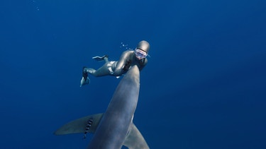 Die Apnoe-Taucherin Anna von Boetticher taucht auf den Azoren mit Blauhaien. Ein Blauhai ist ganz nah an sie herangeschwommen, die beiden blicken sich an. Wir geben Tipps, wie ihr euch am besten verhalten solltet, falls ihr einem Hai begegnet, um eine Haiattacke zu vermeiden. | Bild: NDR/Waterwoman