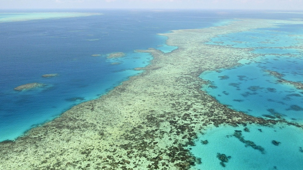 Weltgrößtes Korallenriff: Das Great Barrier Reef im Nordosten Australiens, hier in einer Aufnahme aus dem Jahr 2017. | Bild: picture-alliance/dpa/MAXPPP