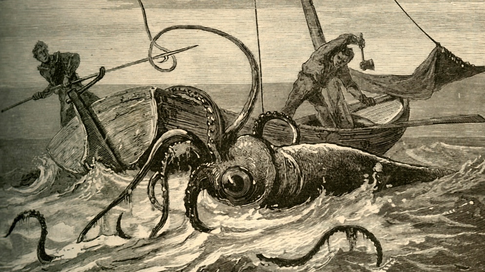 Zeichnung eines Riesenkalmars, der ein Schiff angreift, aus dem Jahr 1881. Unzählige Legenden ranken sich um die zehnarmigen "Monster aus der Tiefsee". Was steckt hinter den Riesentintenfischen? | Bild: picture alliance / Heritage-Images | The Print Collector/Heritage Images