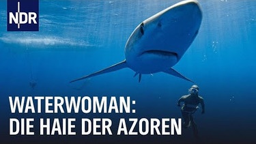 Waterwoman | Folge 1: Hautnah bei den Haien der Azoren | NDR Doku | Bild: NDR Doku (via YouTube)