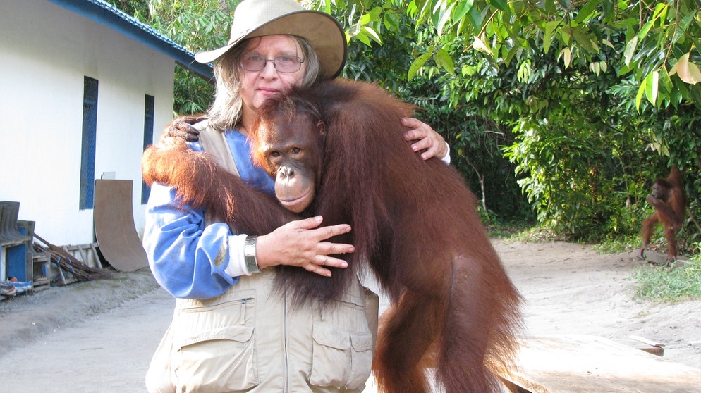 Biruté Galdikas mit Orang-Utan auf der Insel Borneo | Bild: Orangutan Foundation