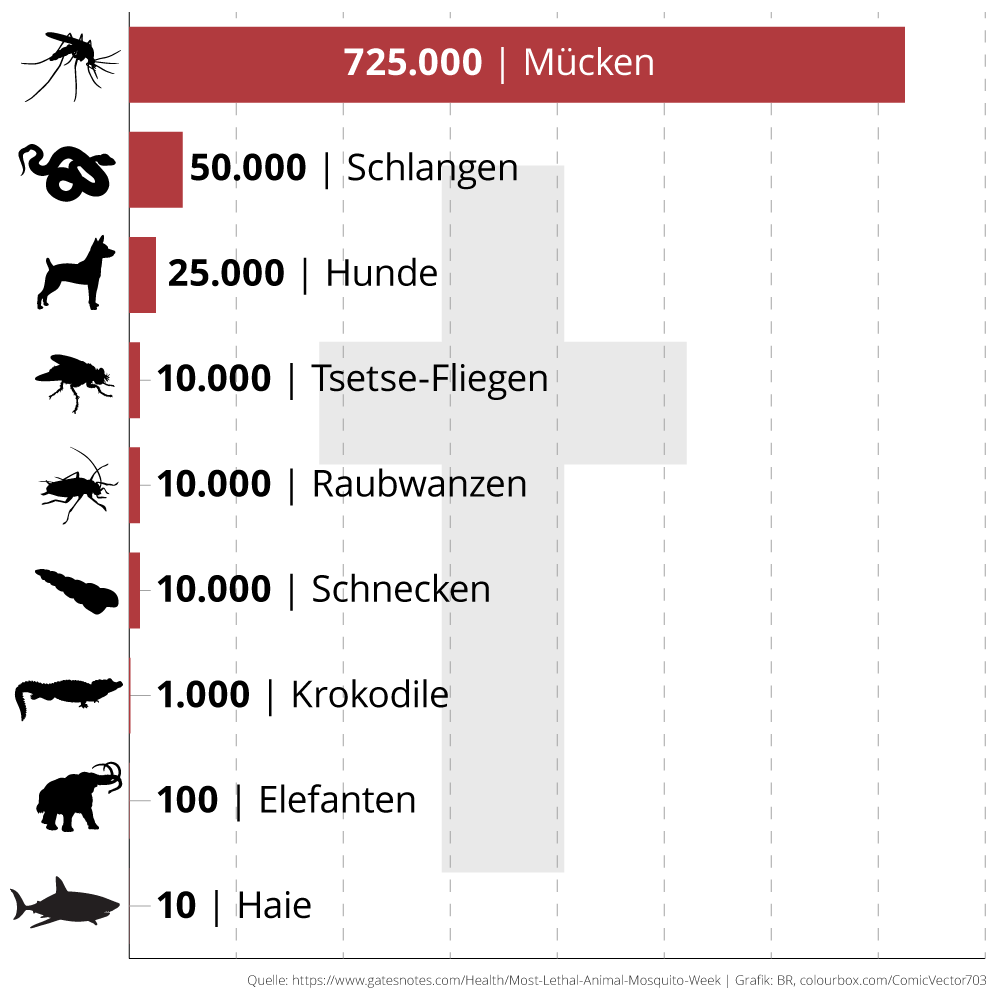 Infografik: Jährliche Sterbefälle infolge von Tierbegegnungen weltweit | Bild: BR, Grafik: BR, colourbox.com/ComicVector703