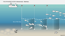 Bei manchen Fischfangmethoden landen besonders viele Tiere als Beifang im Netz. Infografik: Kiemennetz/Stellnetz | Bild: BR/Henrik Ullmann