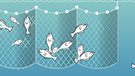 Bei manchen Fischfangmethoden landen besonders viele Tiere als Beifang im Netz. Infografik: Kiemennetz/Treibnetz | Bild: BR/Henrik Ullmann