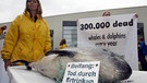 Greenpeace-Mitglieder schoben am 19.6.2003 einen toten Schweinswal vor das Tagungsgebäude der Internationalen Walfang-Kommission in Berlin. Über 300.000 Wale und Delfine sterben jedes Jahr als Beifang beim Fischfang. | Bild: picture-alliance/dpa/Fotoreport