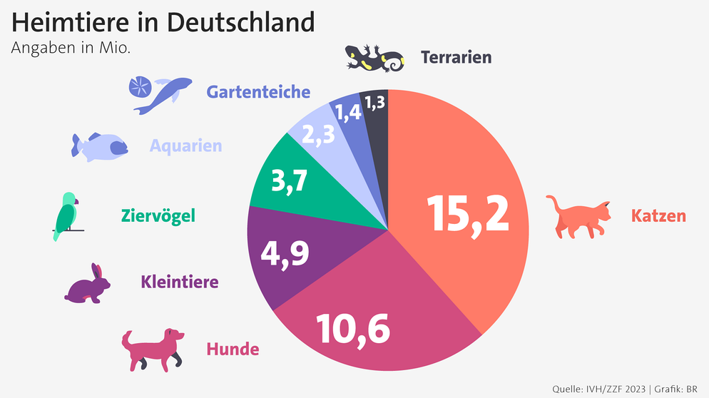 Farbige Kreisgrafik: Verteilung der Heimtiere in privaten Haushalten in Deutschland 2021: Katzen (16,7 Mio), Hunde (10,3 Mio), Kleintiere (4,6 Mio), Ziervögel (4,6 Mio), Aquarien (3,1 Mio), Gartenteiche (2,3 Mio), Terrarien (1,2 Mio). | Bild: Quelle: IVH/Grafik: BR