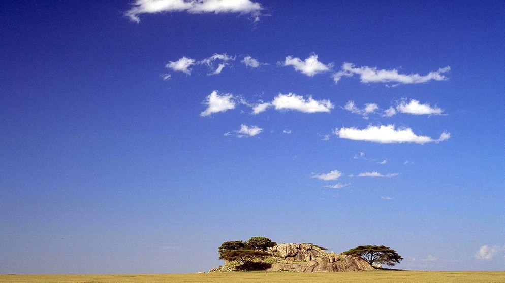 Himmer über Serengeti | Bild: picture-alliance/dpa