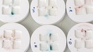 Ameisen benutzen Toiletten in ihrem Nest: blau und rot gefärbte Stellen im Versuchsaufbau zeigen die Stellen an. | Bild: Universität Regensburg