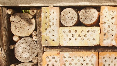 Verschiedene Nisthilfen für Bienen | Bild: picture-alliance/dpa