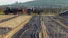 Ein Landwirt überzieht den Boden zwischen frisch eingepflanzten Jungreben mit Netzen und rüstet sich  gegen eine Maikäferplage (1997) | Bild: picture-alliance/dpa
