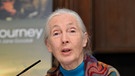 Jane Goodall bei einer Pressekonferenz in München, 2010 | Bild: picture-alliance/dpa