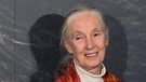 Jane Goodall bei der Premiere von "Schimpansen" in London, 2013 | Bild: picture-alliance/dpa