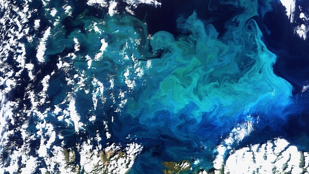 Eine farbenprächtige, riesige Planktonblüte, die der Satellit Envisat im Norden Europas aufgenommen hat. | Bild: picture-alliance/dpa