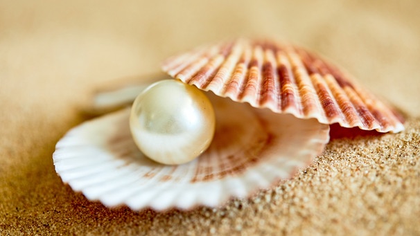 Eine Perle liegt in einer Muschel auf dem Sandstrand (Symbolbild). So perfekt sieht eine natürliche Perle nur selten aus - das macht Perlen so kostbar. | Bild: stock.adobe.com/fox17