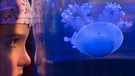 Mädchen mit Qualle im Aquarium | Bild: picture-alliance/dpa