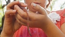Ein Mädchen hält einen Regenwurm in der Hand. Regenwürmer lockern die Erde auf und machen den Boden fruchtbar | Bild: picture-alliance/dpa