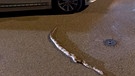 Keine in Deutschland heimische Schlange: Im August 2018 schlängelte sich eine Kaiserboa durch Augsburg. Das rund 1,50 Meter lange Reptil war durch ein geöffnetes Fenster entkommen, während sich ihr Besitzer im Krankenhaus befand. | Bild: dpa-Bildfunk/dpa/Polizeipräsidium Schwaben Nord